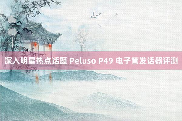 深入明星热点话题 Peluso P49 电子管发话器评测