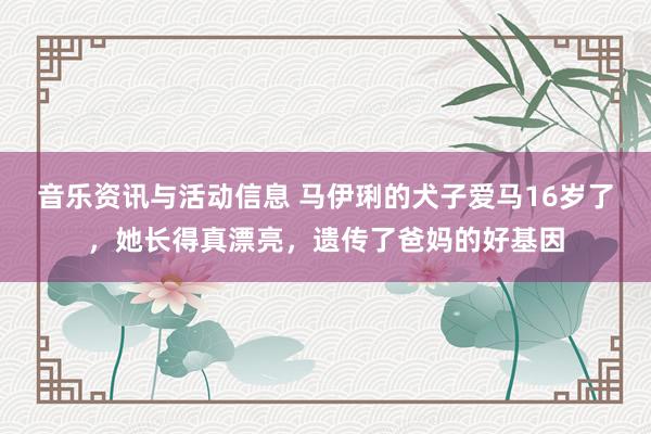 音乐资讯与活动信息 马伊琍的犬子爱马16岁了，她长得真漂亮，遗传了爸妈的好基因